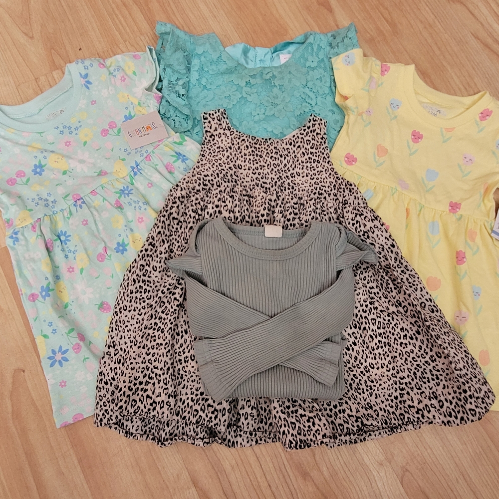 Little Girls 12-18 Month Lot